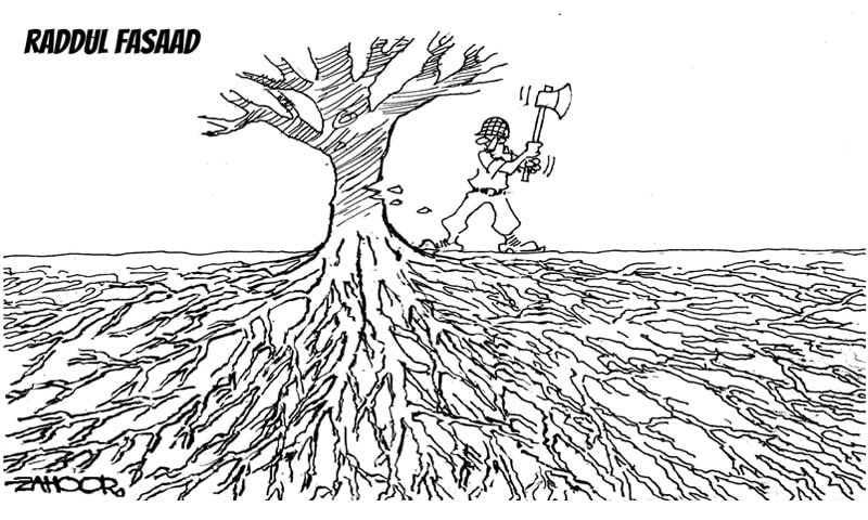 Roots of extremism in Pakistan (cartoon)